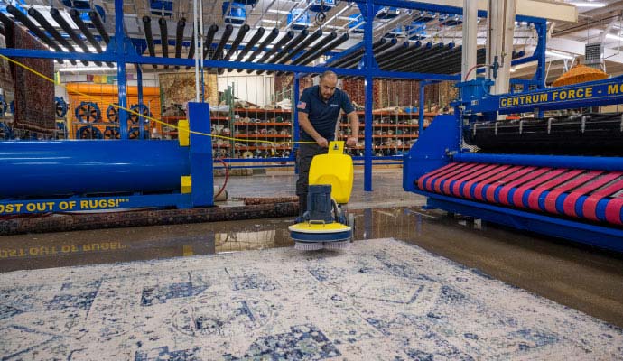 Technician cleaning an area rug using rotary cleaning equipment in a facility