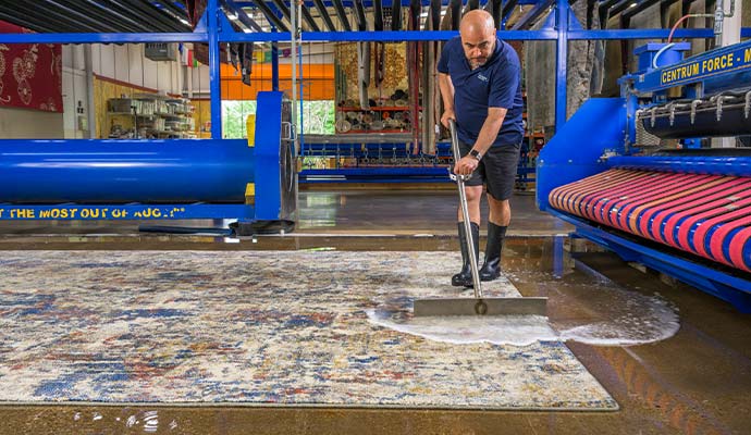 Technician using a squeegee to remove excess water from an area rug