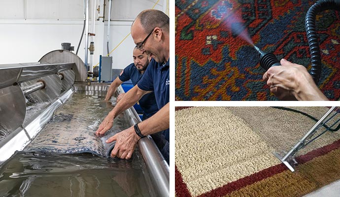 rug cleaning methods